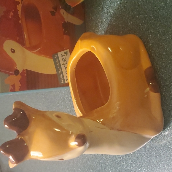 Dexter animal planter - Picture 3 of 6